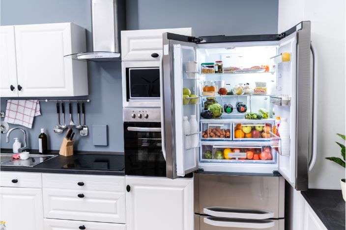Double-Door Refrigerator Repair